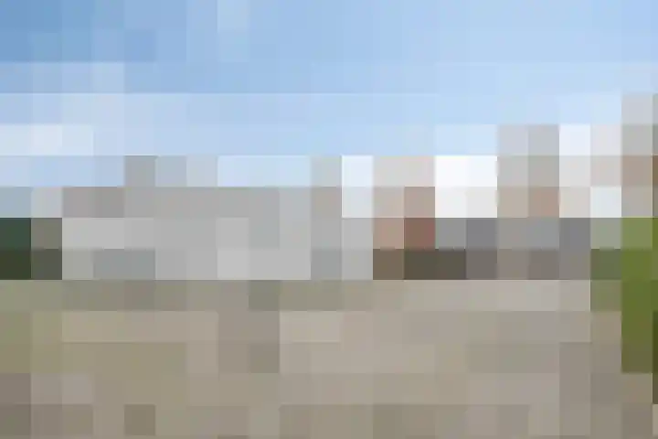 Saksenweg 30 Oss thumbnail 97