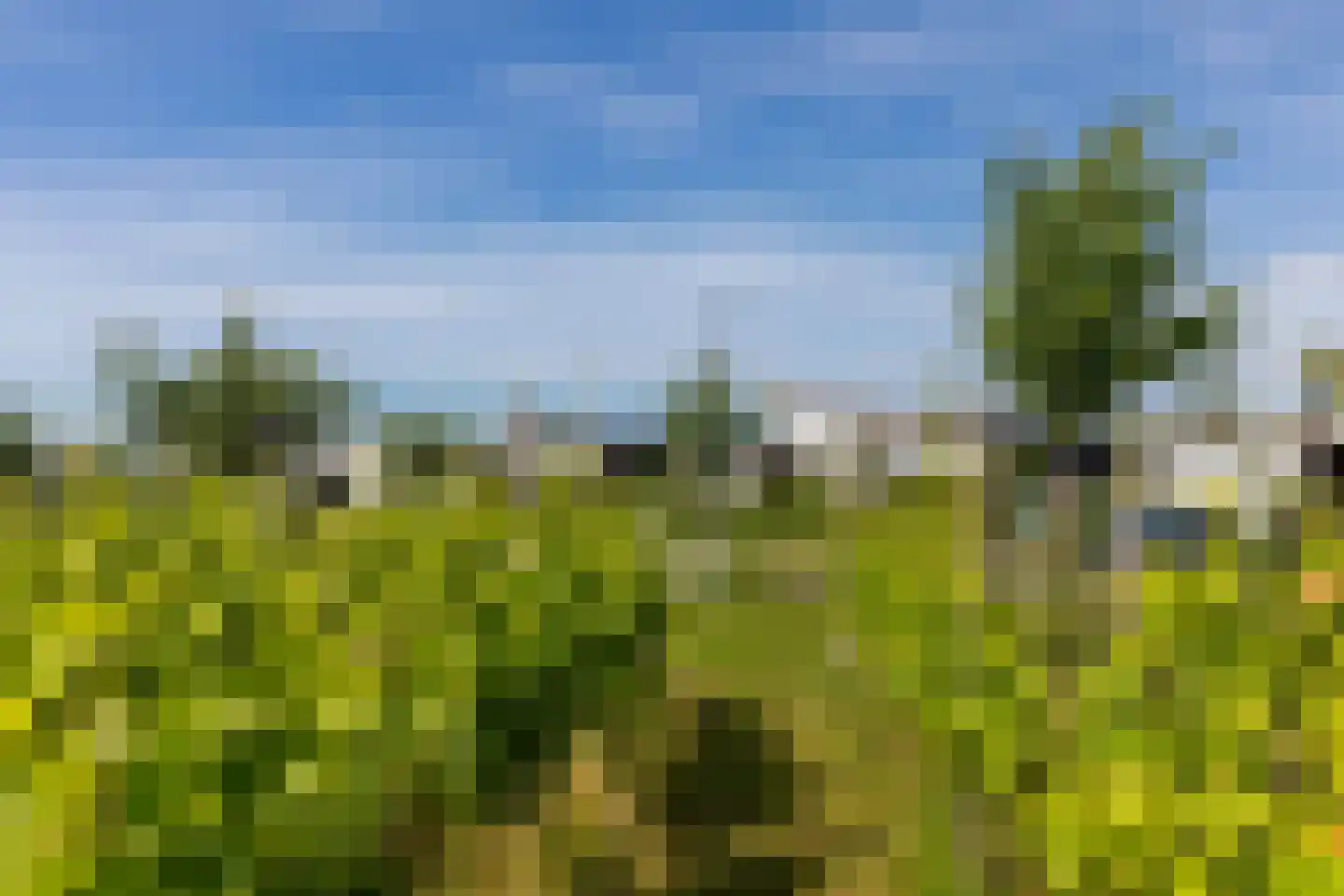Sakuralaan 6 Almere thumbnail 11