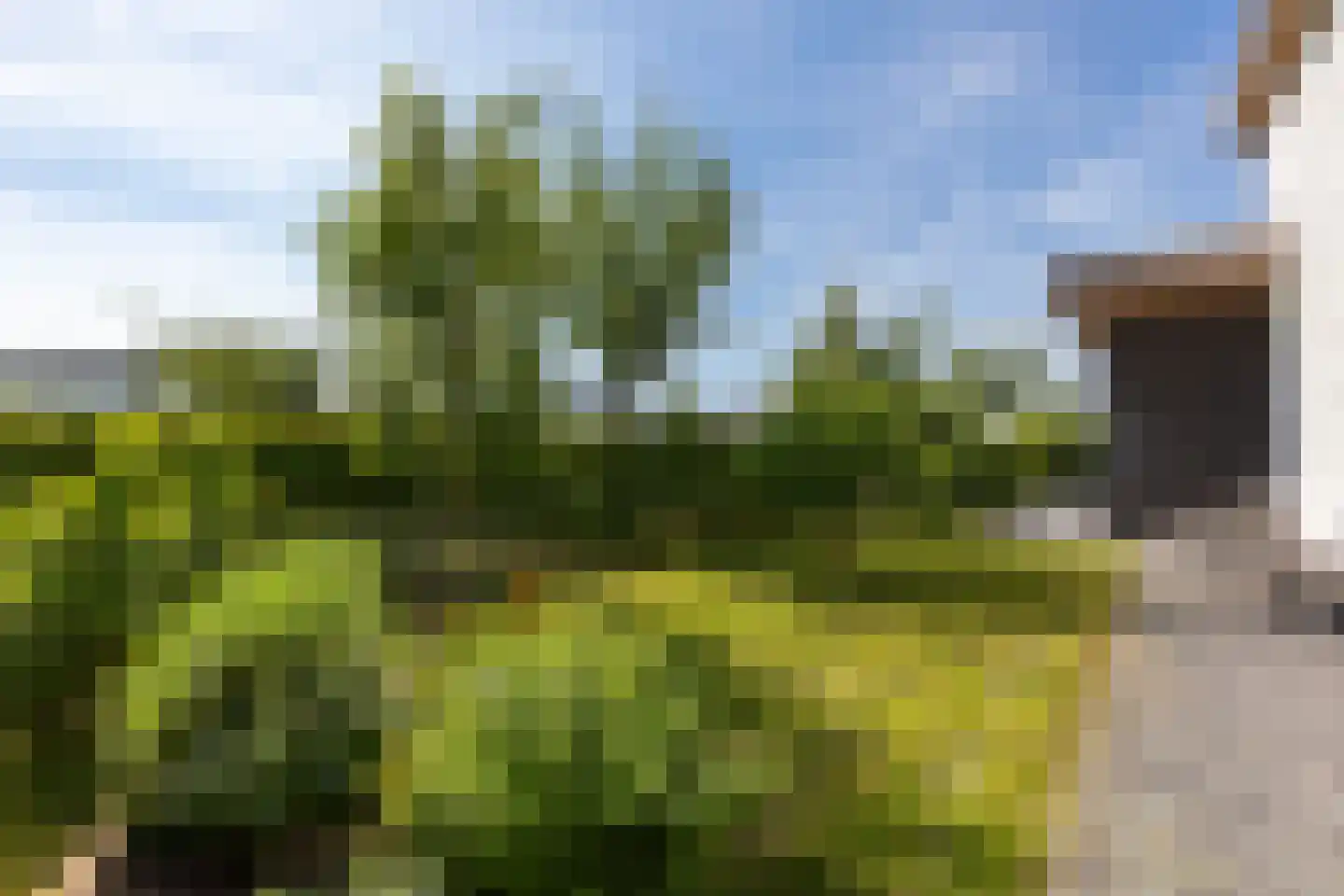 Sakuralaan 6 Almere thumbnail 14