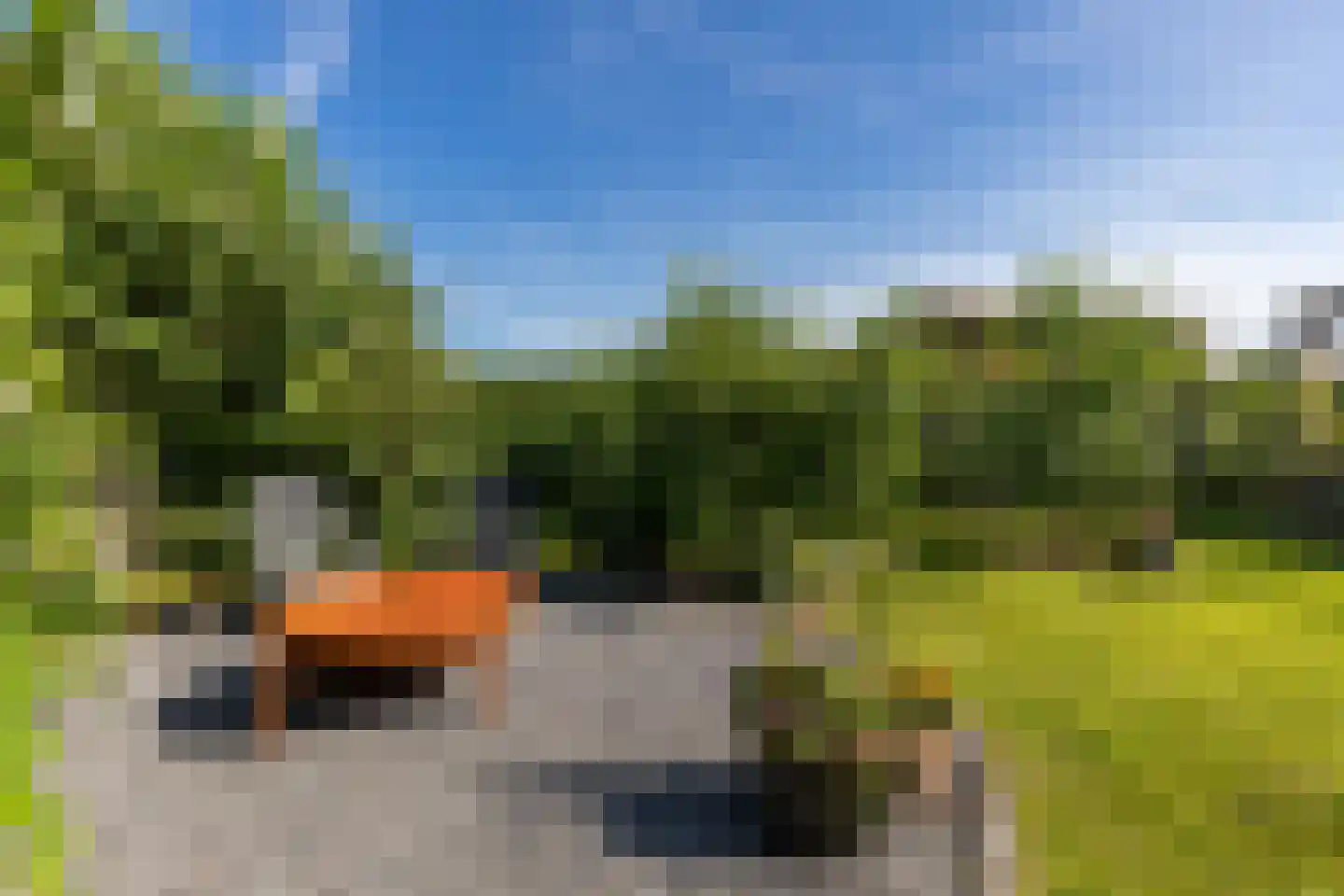 Sakuralaan 6 Almere thumbnail 41