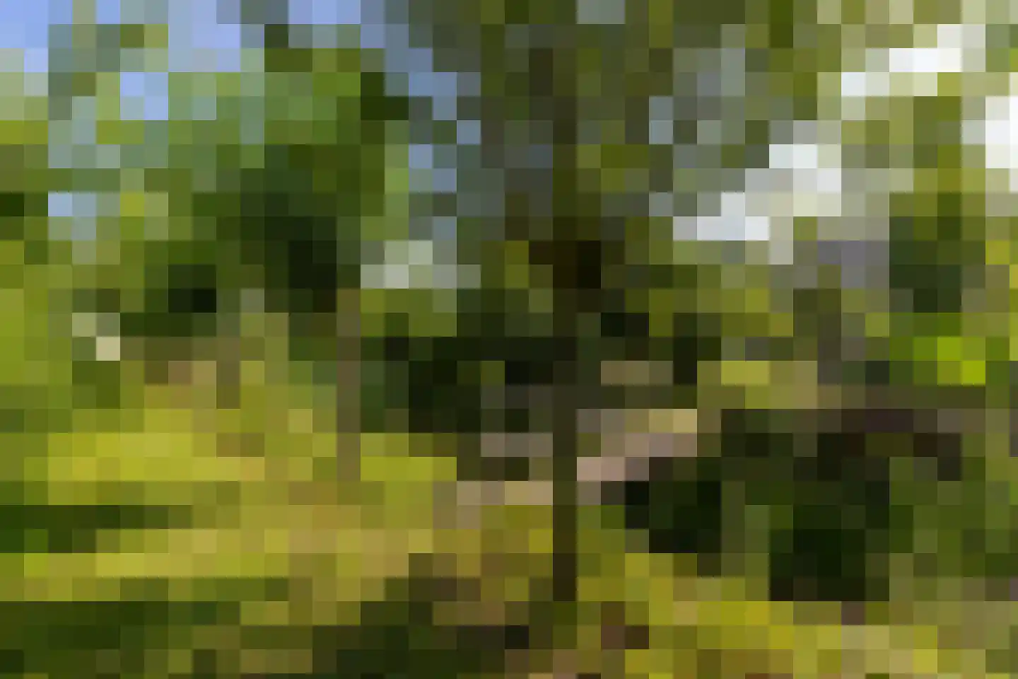 Sakuralaan 6 Almere thumbnail 42