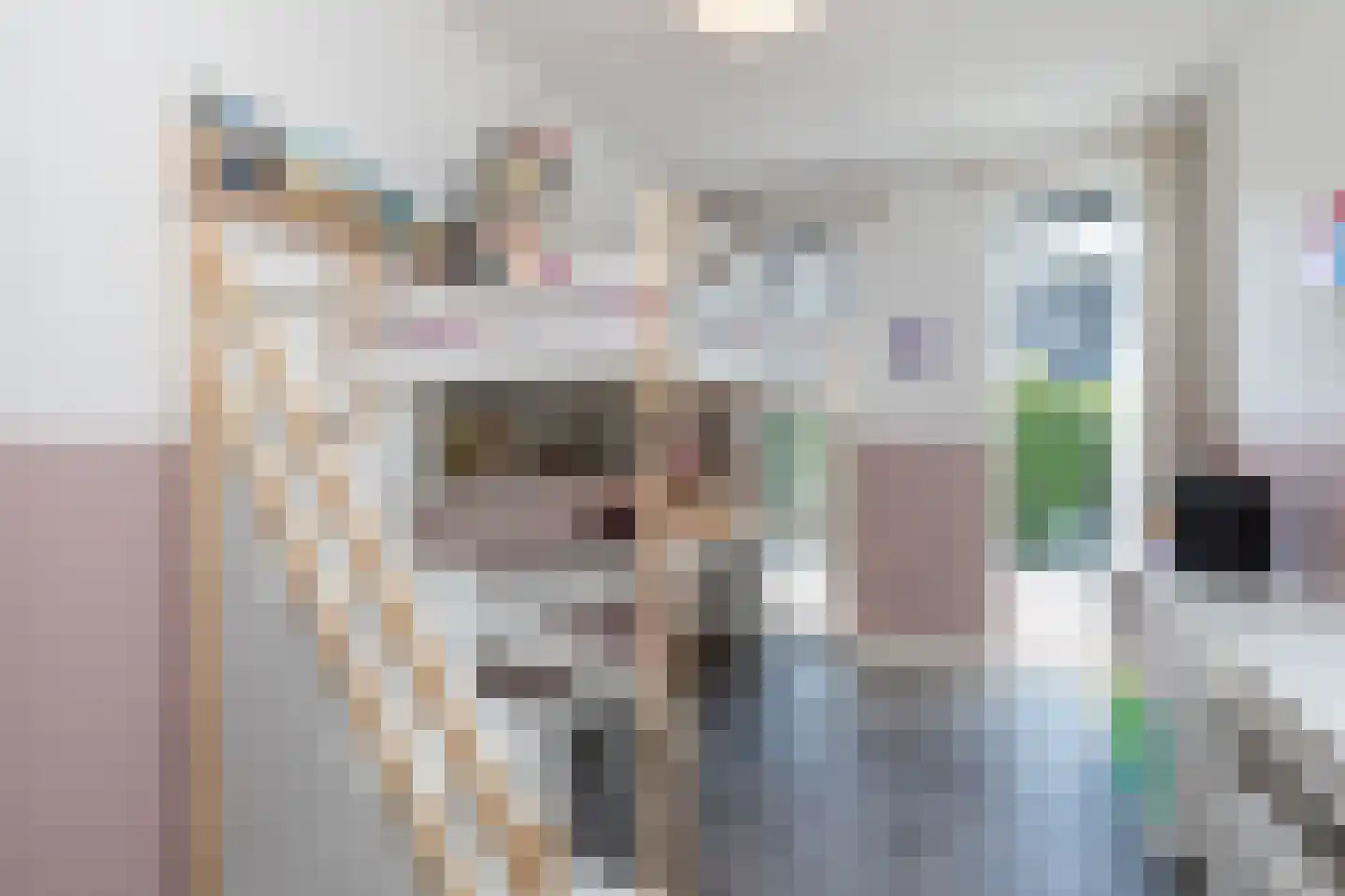 Sakuralaan 6 Almere thumbnail 6
