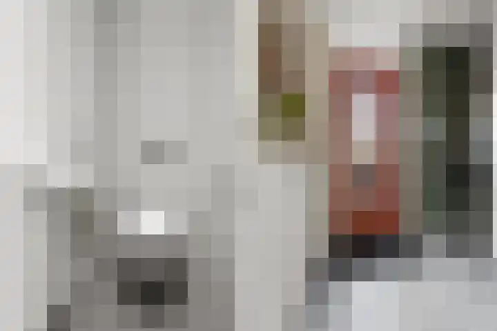 Salamancastraat 10 Lent thumbnail 10