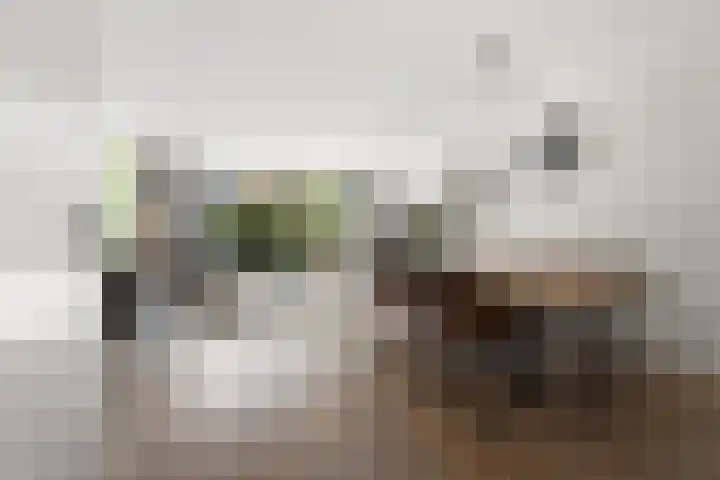 Salamancastraat 10 Lent thumbnail 11