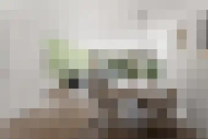 Salamancastraat 10 Lent thumbnail 15