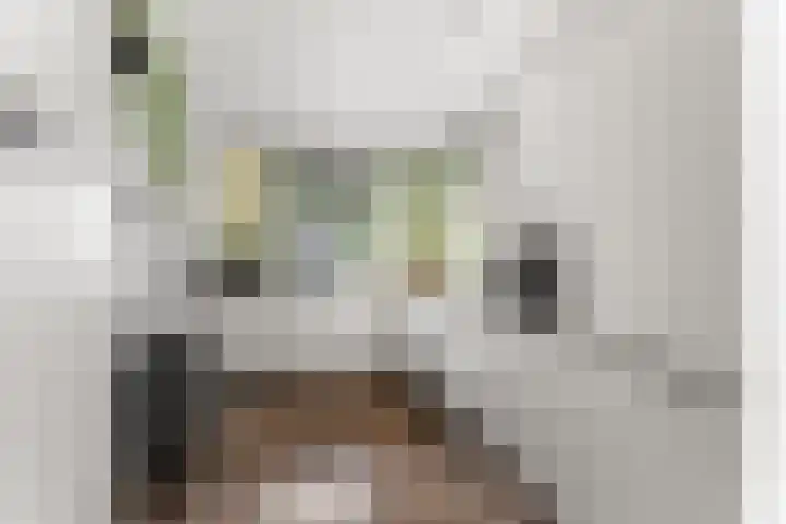 Salamancastraat 10 Lent thumbnail 18