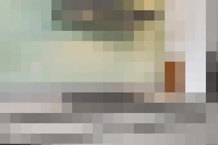 Salamancastraat 10 Lent thumbnail 19