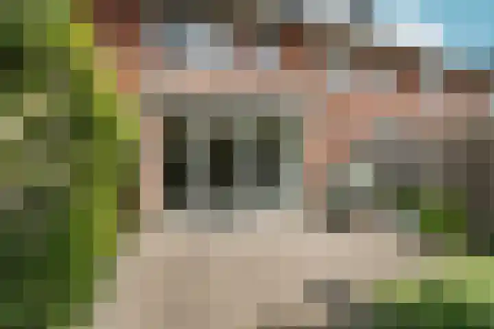 Salamancastraat 10 Lent thumbnail 38