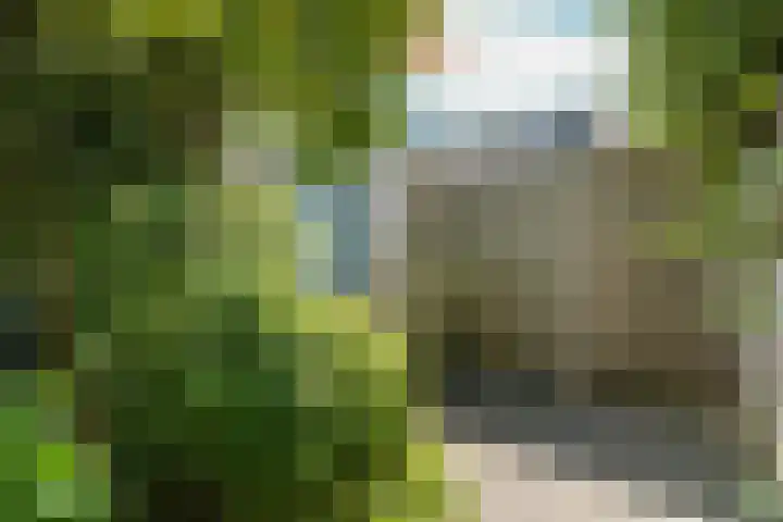 Salamancastraat 10 Lent thumbnail 39