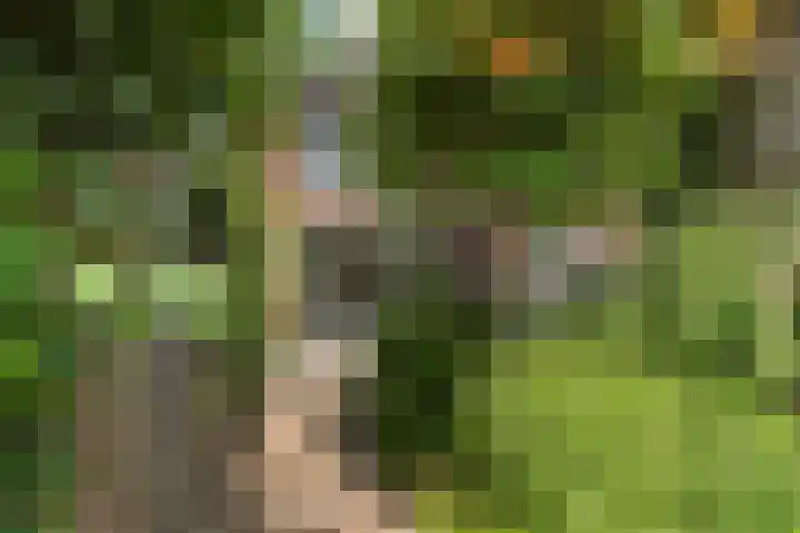 Salamancastraat 10 Lent thumbnail 40