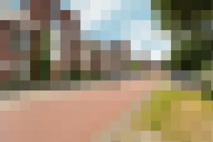 Salamancastraat 10 Lent thumbnail 42