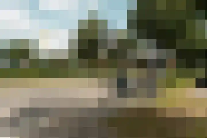 Salamancastraat 10 Lent thumbnail 44