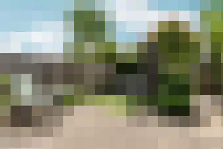 Salamancastraat 10 Lent thumbnail 6
