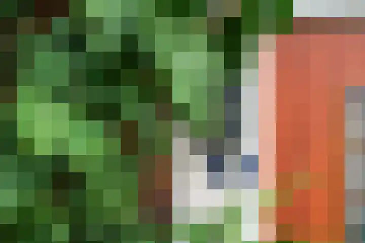 Salamancastraat 10 Lent thumbnail 7