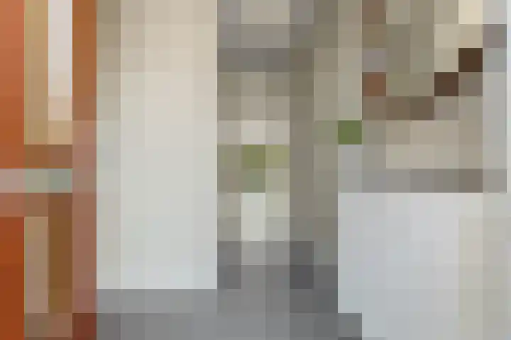 Salamancastraat 10 Lent thumbnail 8