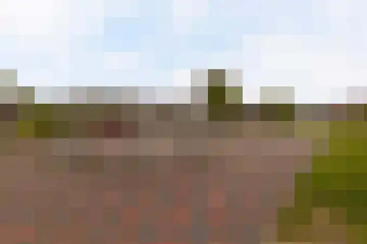 Salamander 105 Amstelveen thumbnail 33