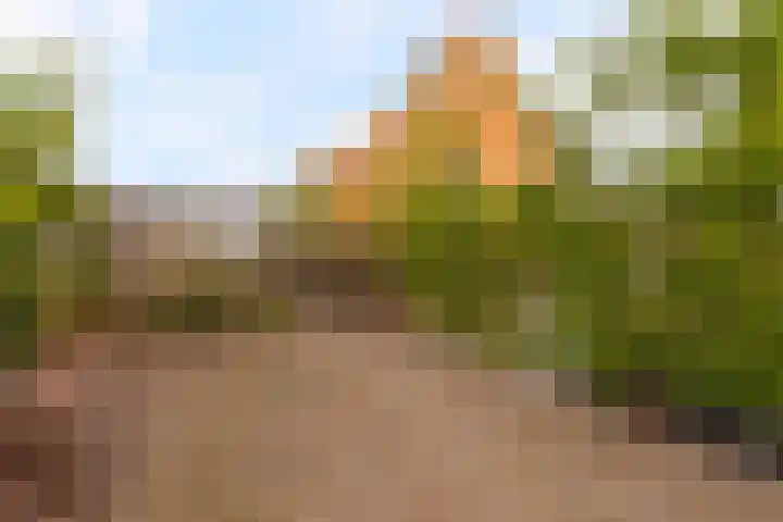 Salamander 105 Amstelveen thumbnail 5