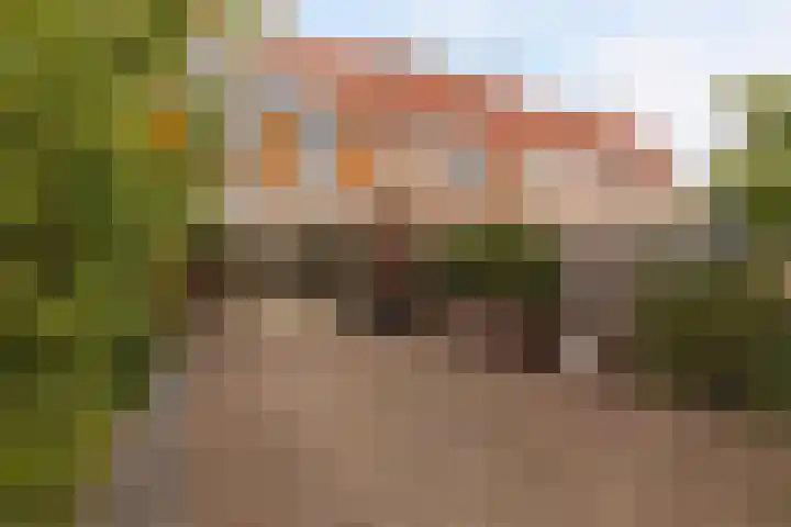 Salamander 105 Amstelveen thumbnail 7
