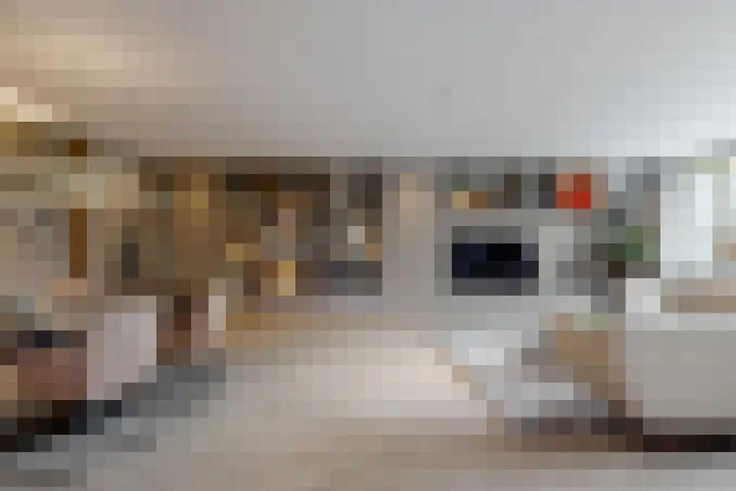 Salamander 13 Odijk thumbnail 18