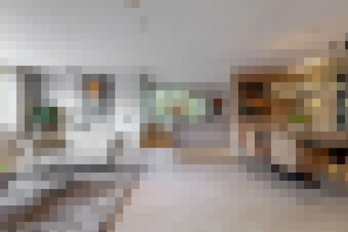 Salamander 13 Odijk thumbnail 19