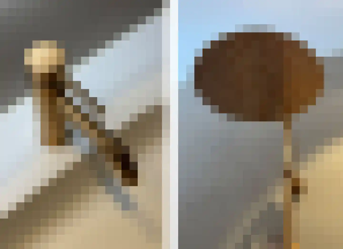 Salamander 13 Odijk thumbnail 37