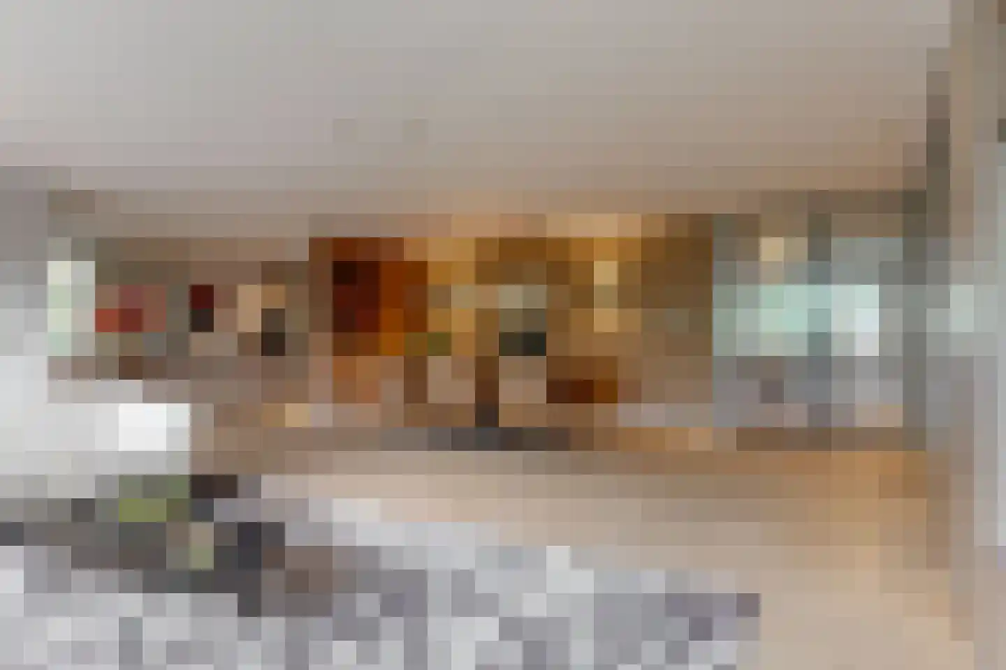 Salamander 13 Odijk thumbnail 4