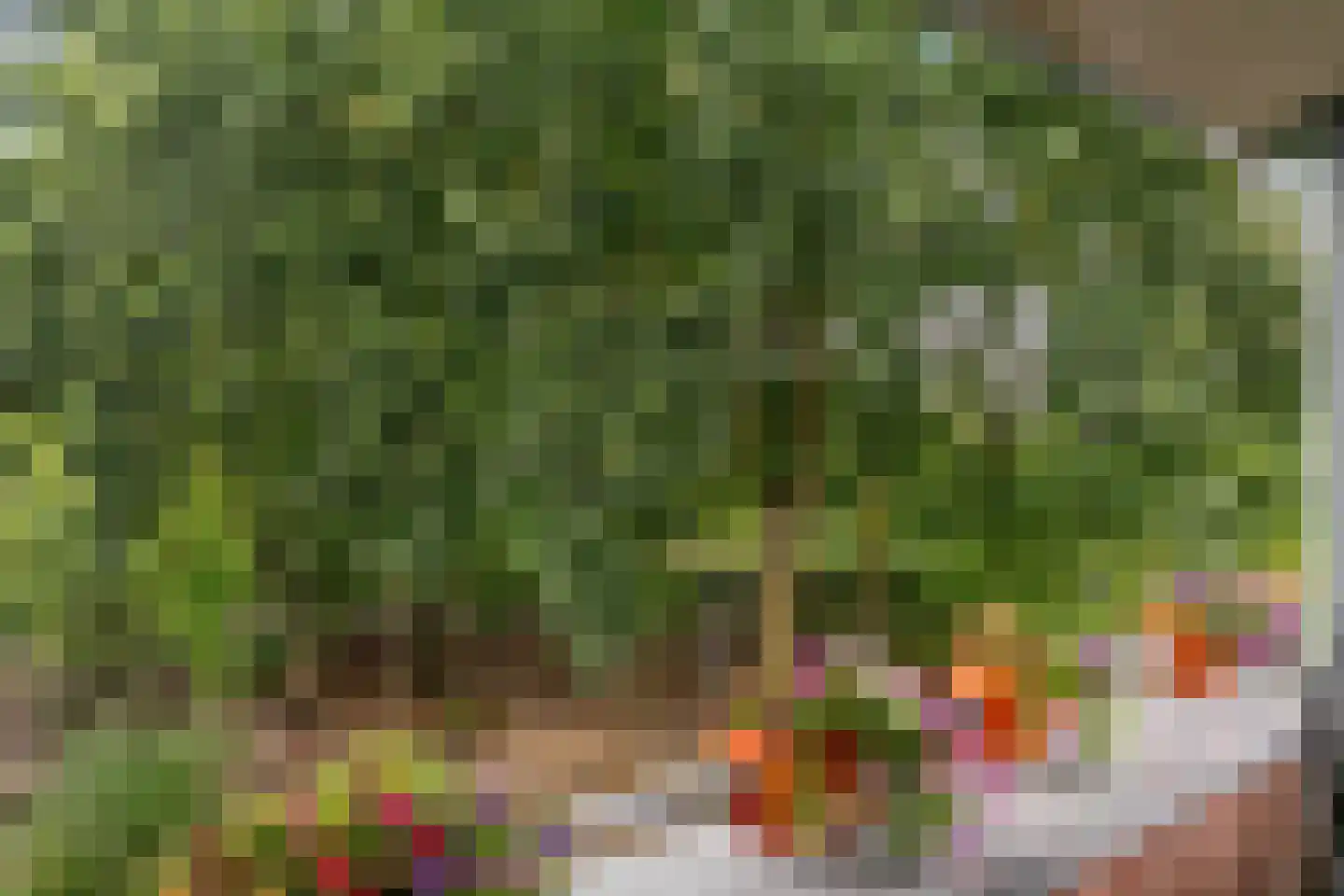 Salamander 13 Odijk thumbnail 42