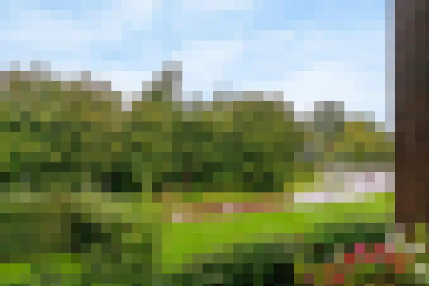 Salamander 13 Odijk thumbnail 43