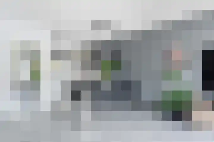 Salamander 17 Alblasserdam thumbnail 10