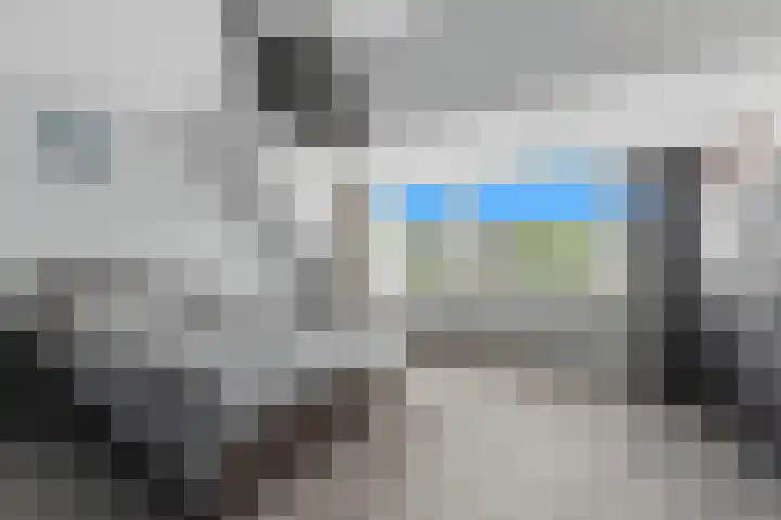 Salamander 17 Alblasserdam thumbnail 19