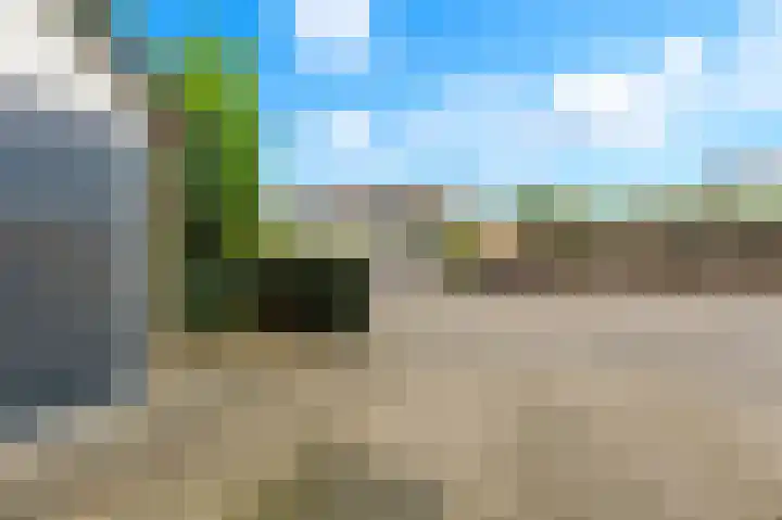 Salamander 17 Alblasserdam thumbnail 39