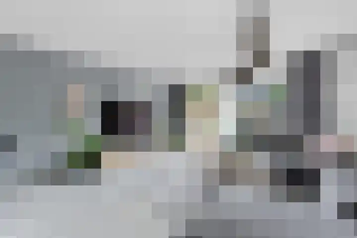 Salamander 17 Alblasserdam thumbnail 7