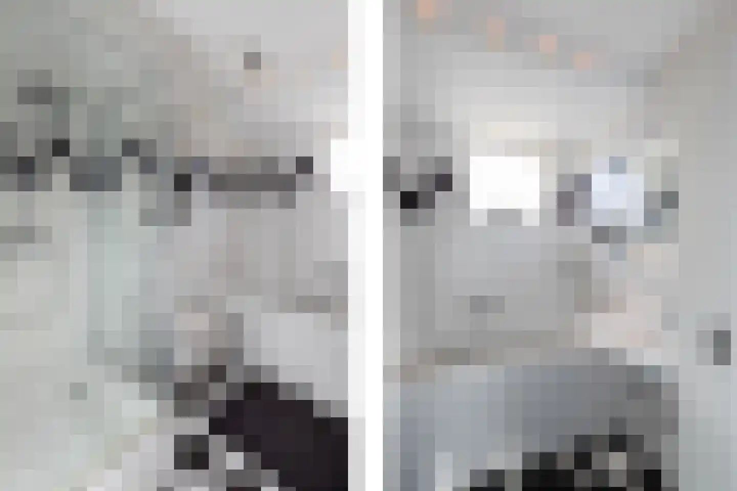 Salamander 2 Alblasserdam thumbnail 10