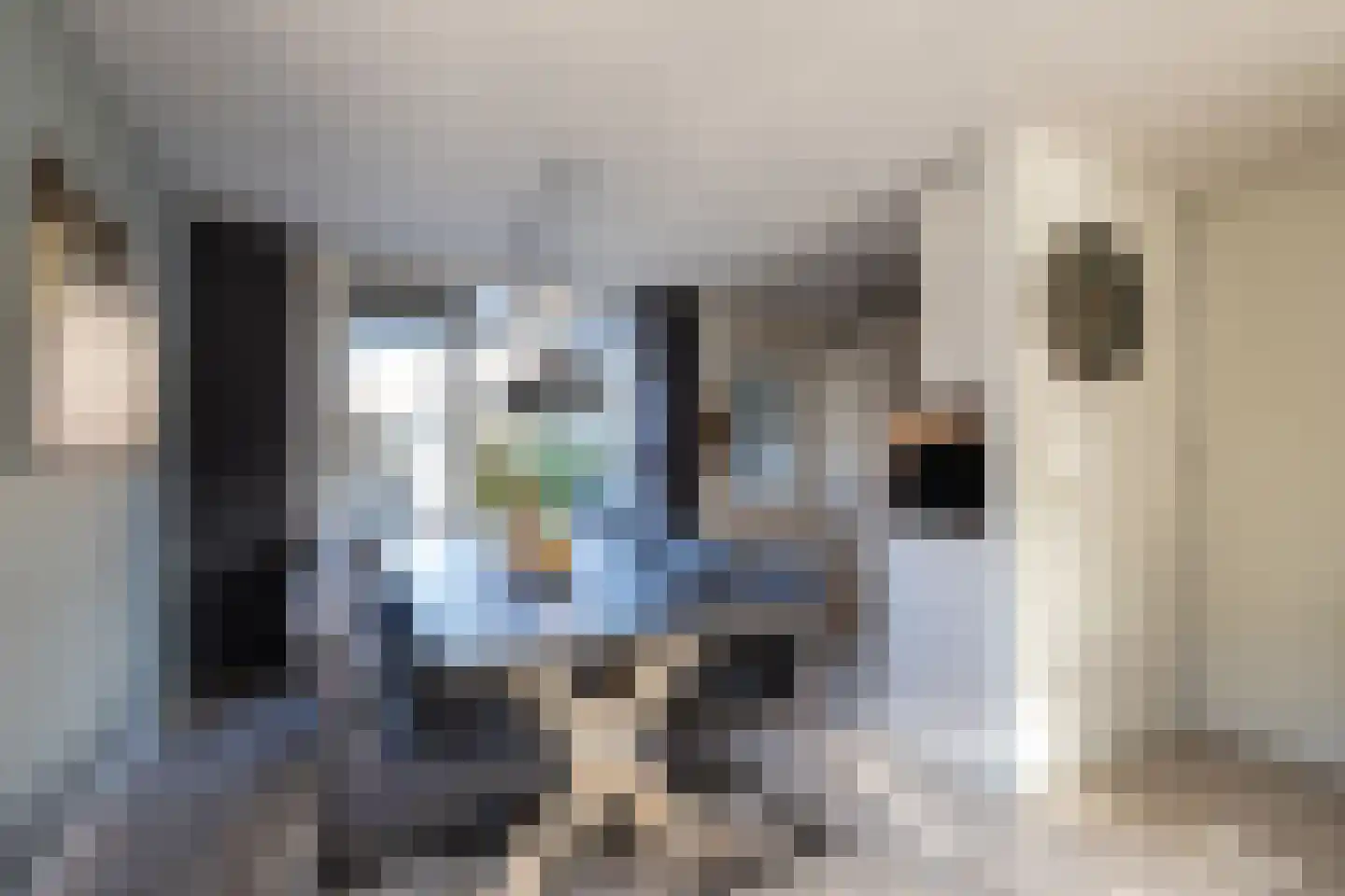 Salamander 2 Alblasserdam thumbnail 17