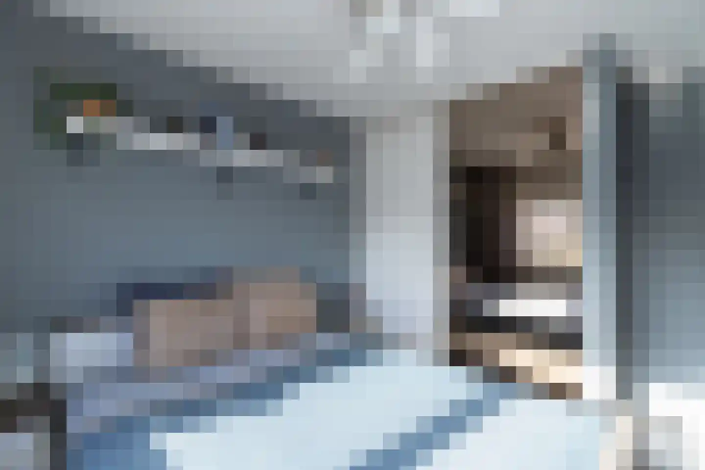 Salamander 2 Alblasserdam thumbnail 25