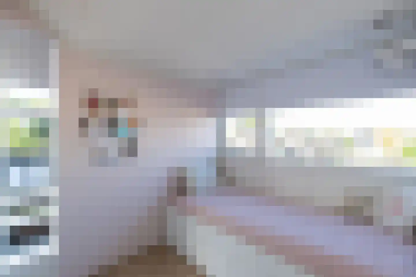 Salamander 2 Alblasserdam thumbnail 32
