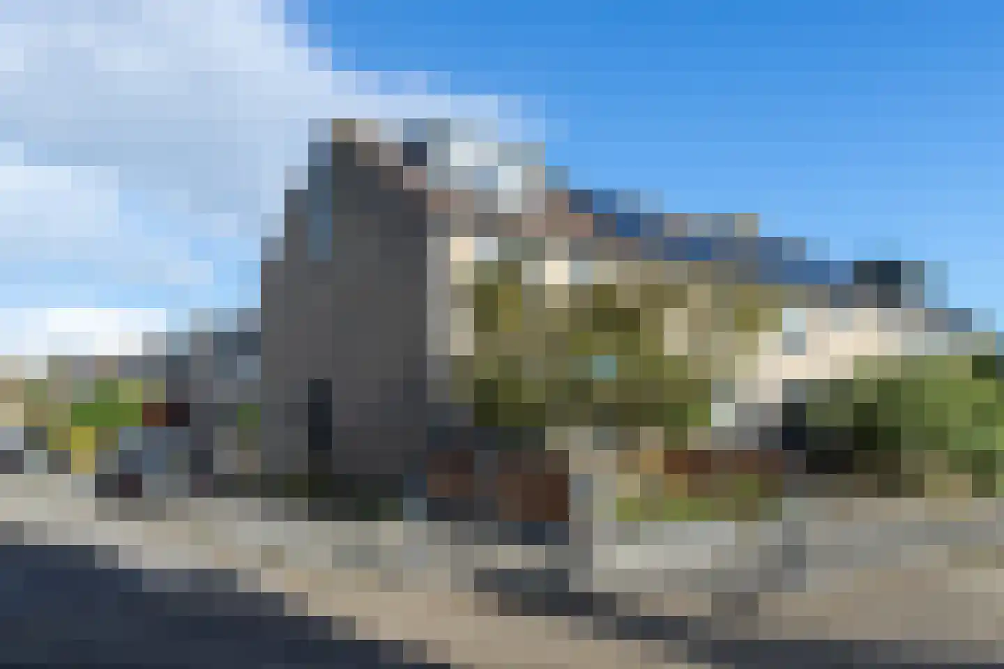 Salamander 2 Alblasserdam thumbnail 34