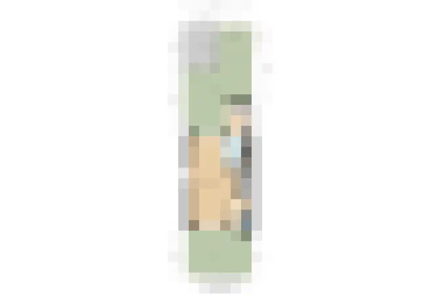 Salamander 2 Alblasserdam thumbnail 36