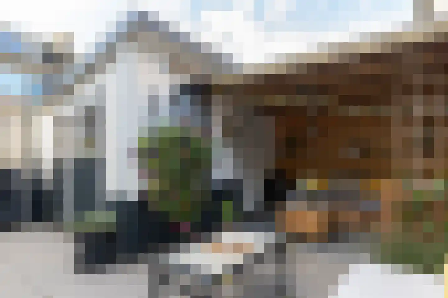 Salamander 2 Alblasserdam thumbnail 8