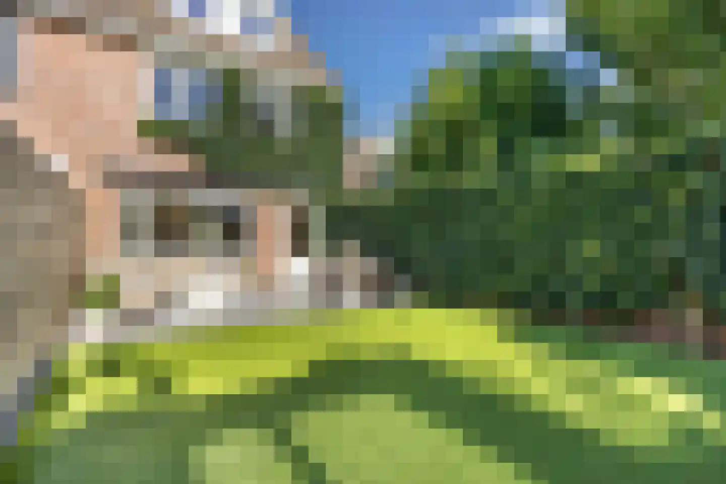 Salamander 42 Huizen thumbnail 34