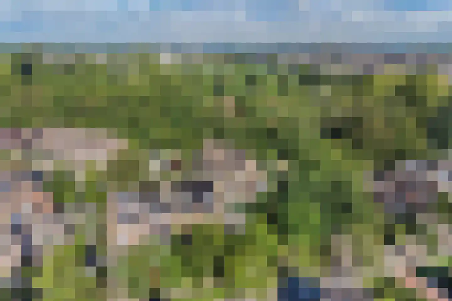 Salamander 42 Huizen thumbnail 44