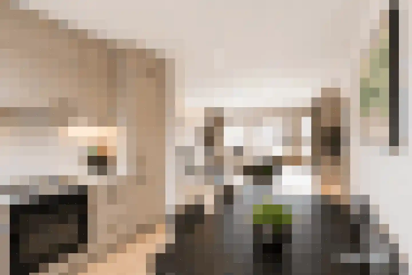 Salamander 45 Huizen thumbnail 10