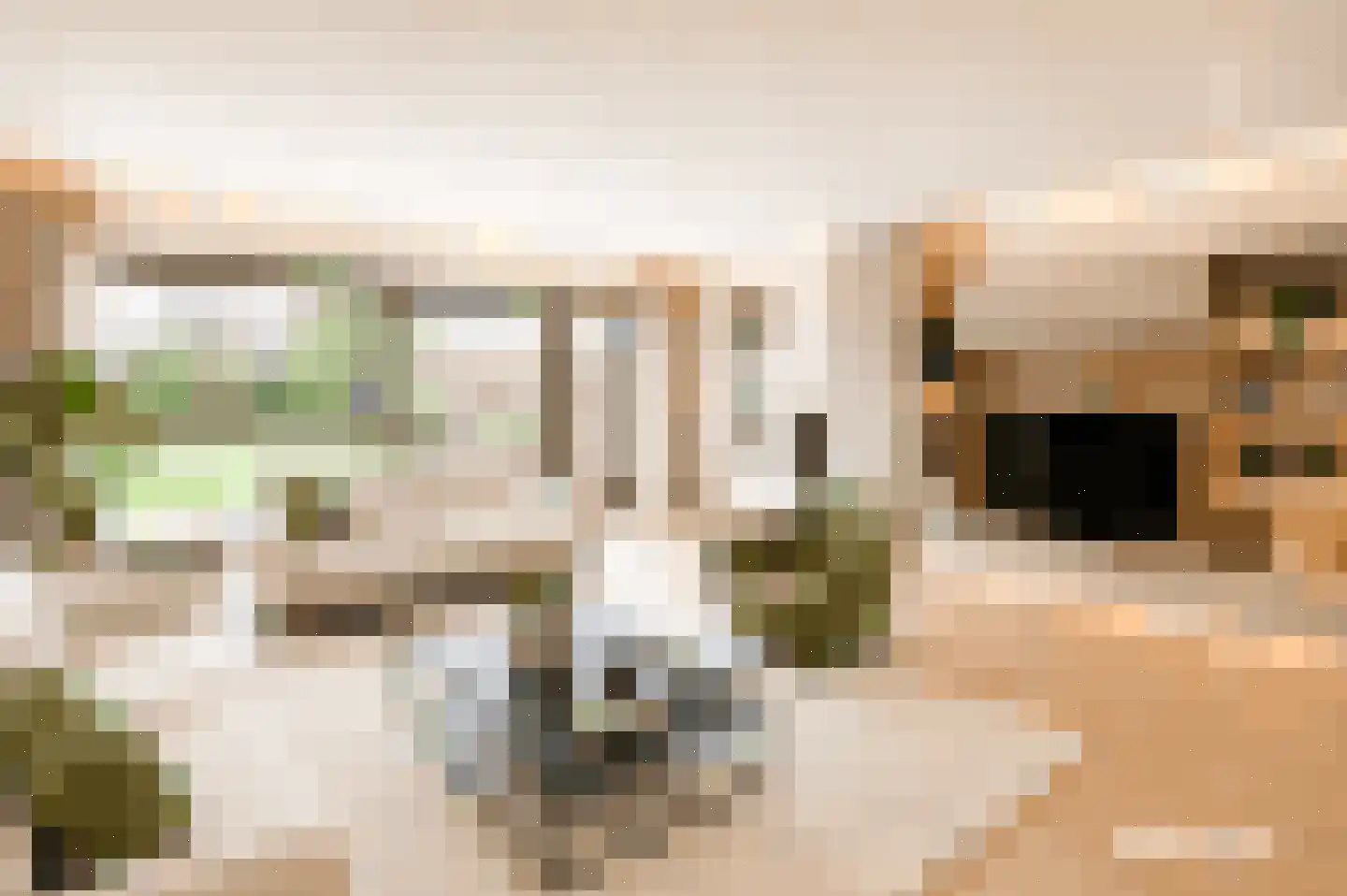 Salamander 45 Huizen thumbnail 4