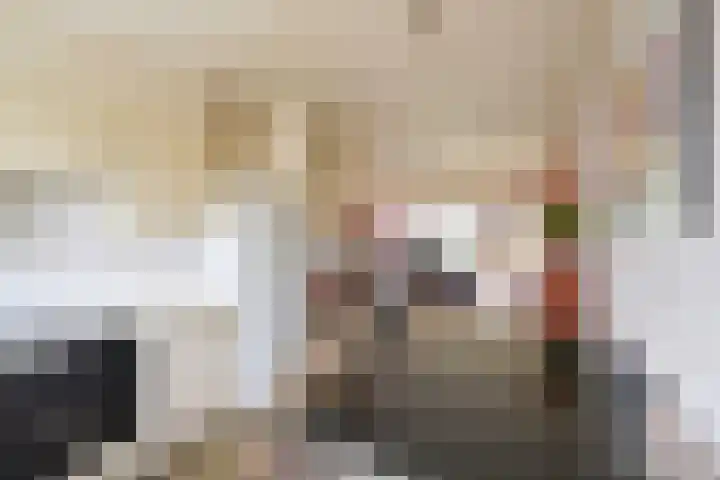 Salamander 45 Huizen thumbnail 6