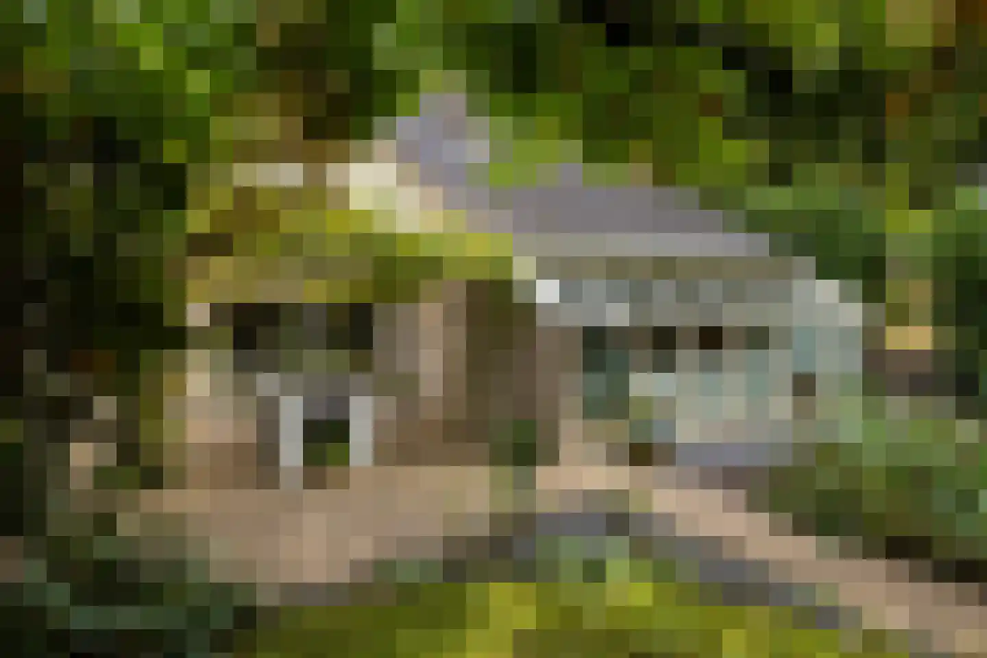 Salamander 56 Leusden thumbnail 36
