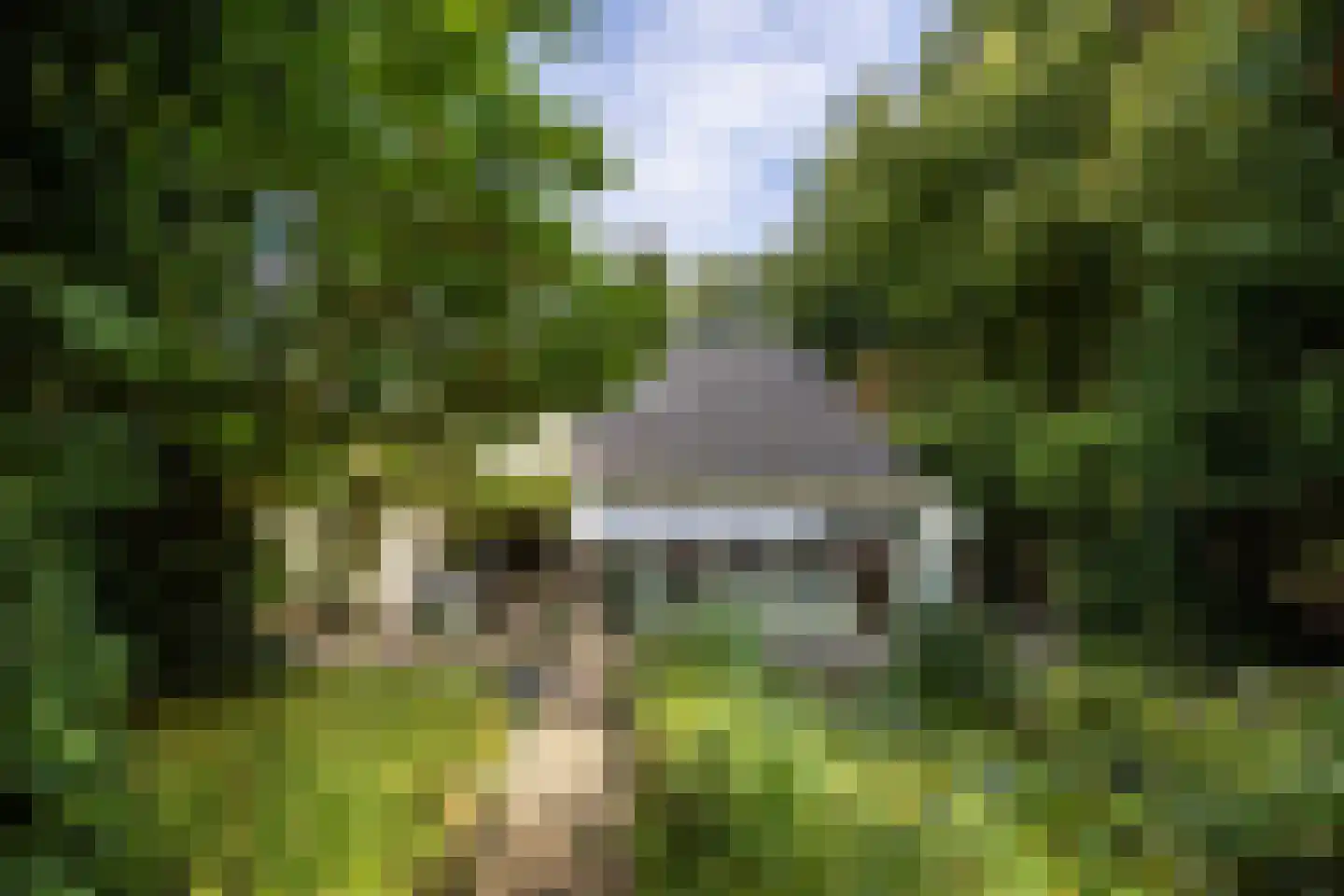 Salamander 56 Leusden thumbnail 37
