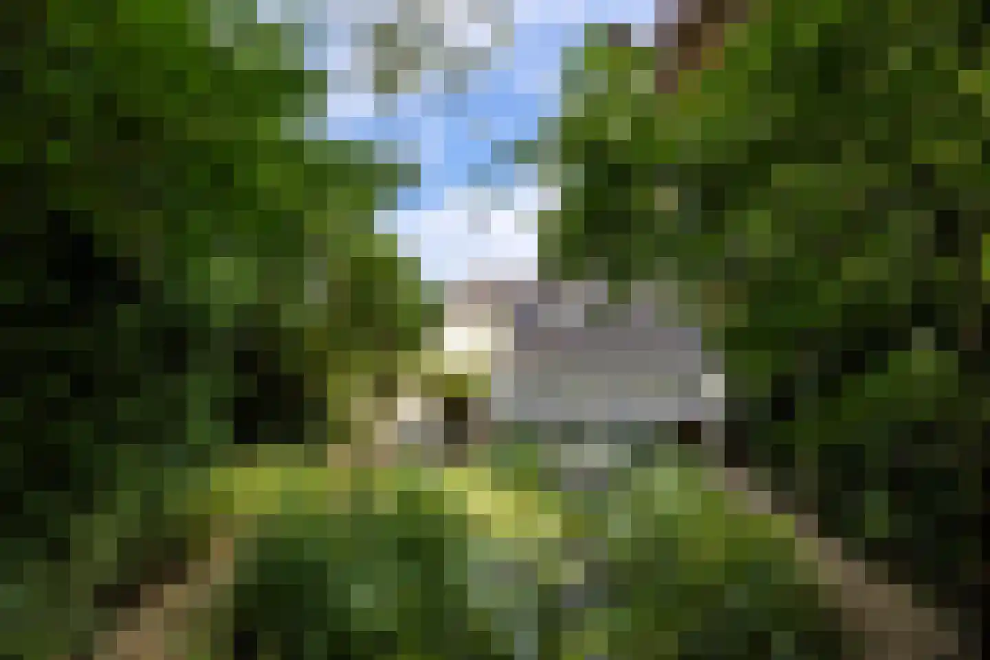 Salamander 56 Leusden thumbnail 38