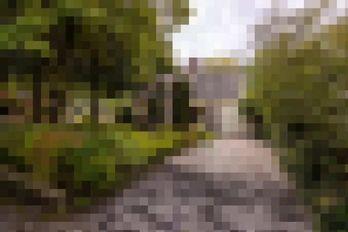 Salamander 56 Leusden thumbnail 44