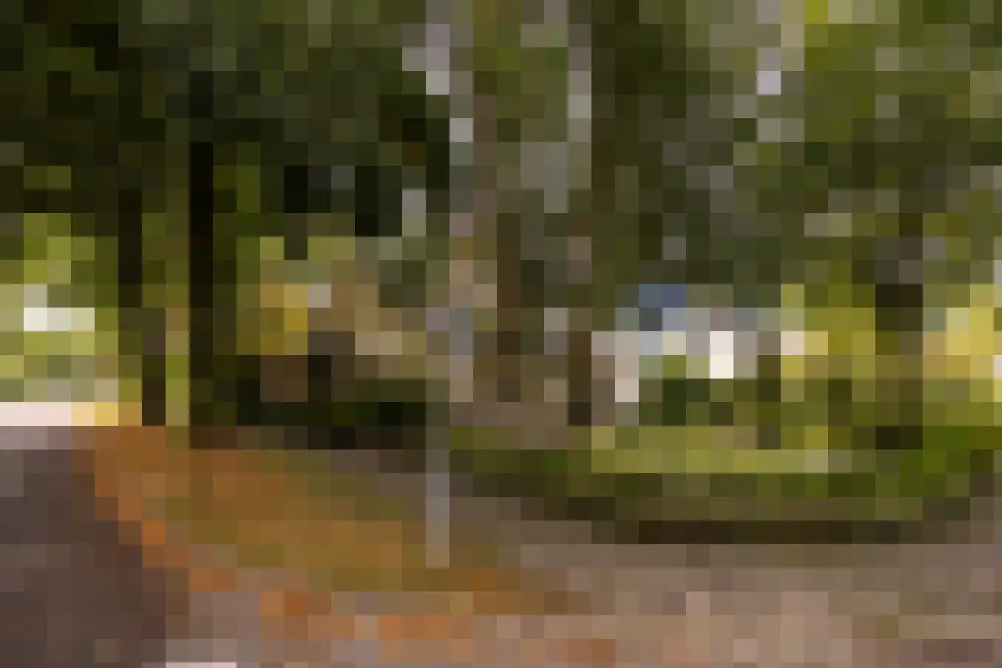 Salamander 56 Leusden thumbnail 45