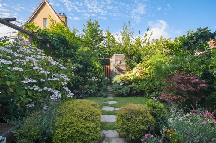 Salamander 83 en Amstelveen foto